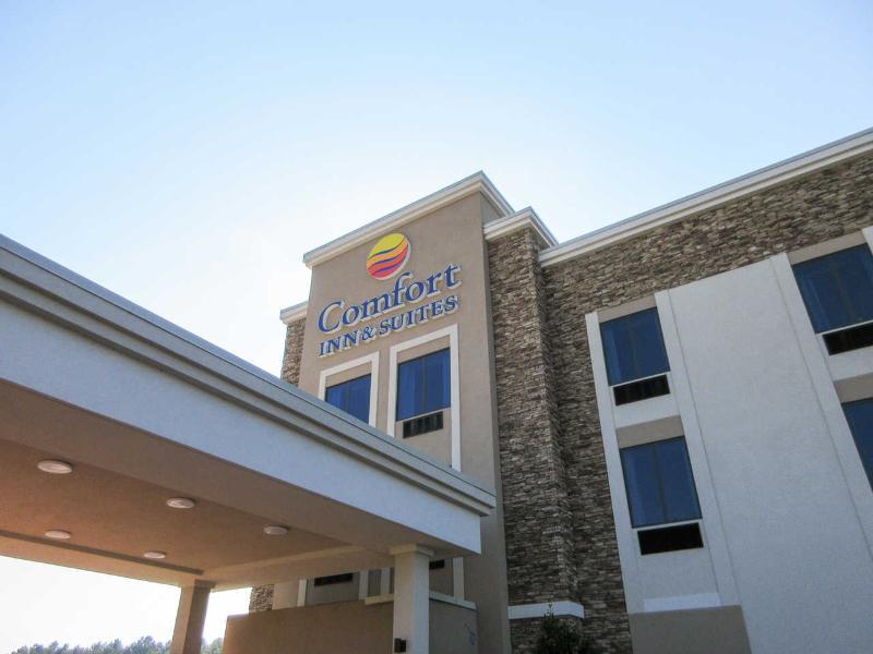 Comfort Inn & Suites East Ellijay Extérieur photo